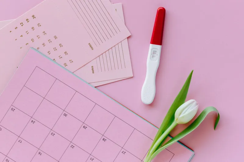 Post-Clomid Hormonal Shifts: The Science Behind Why Some Women Conceive After Treatment Ends